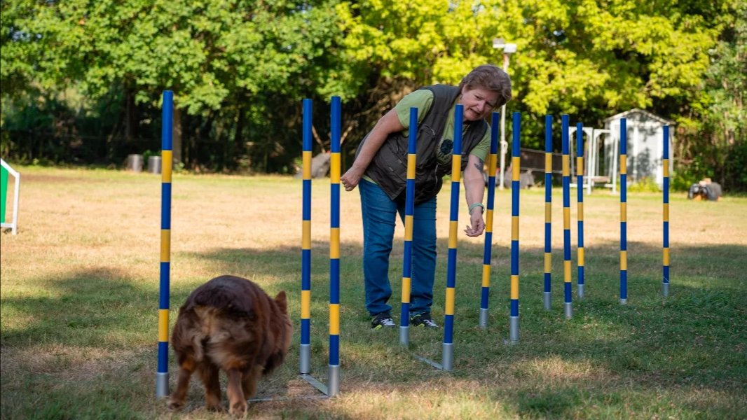 Agility Anfänger