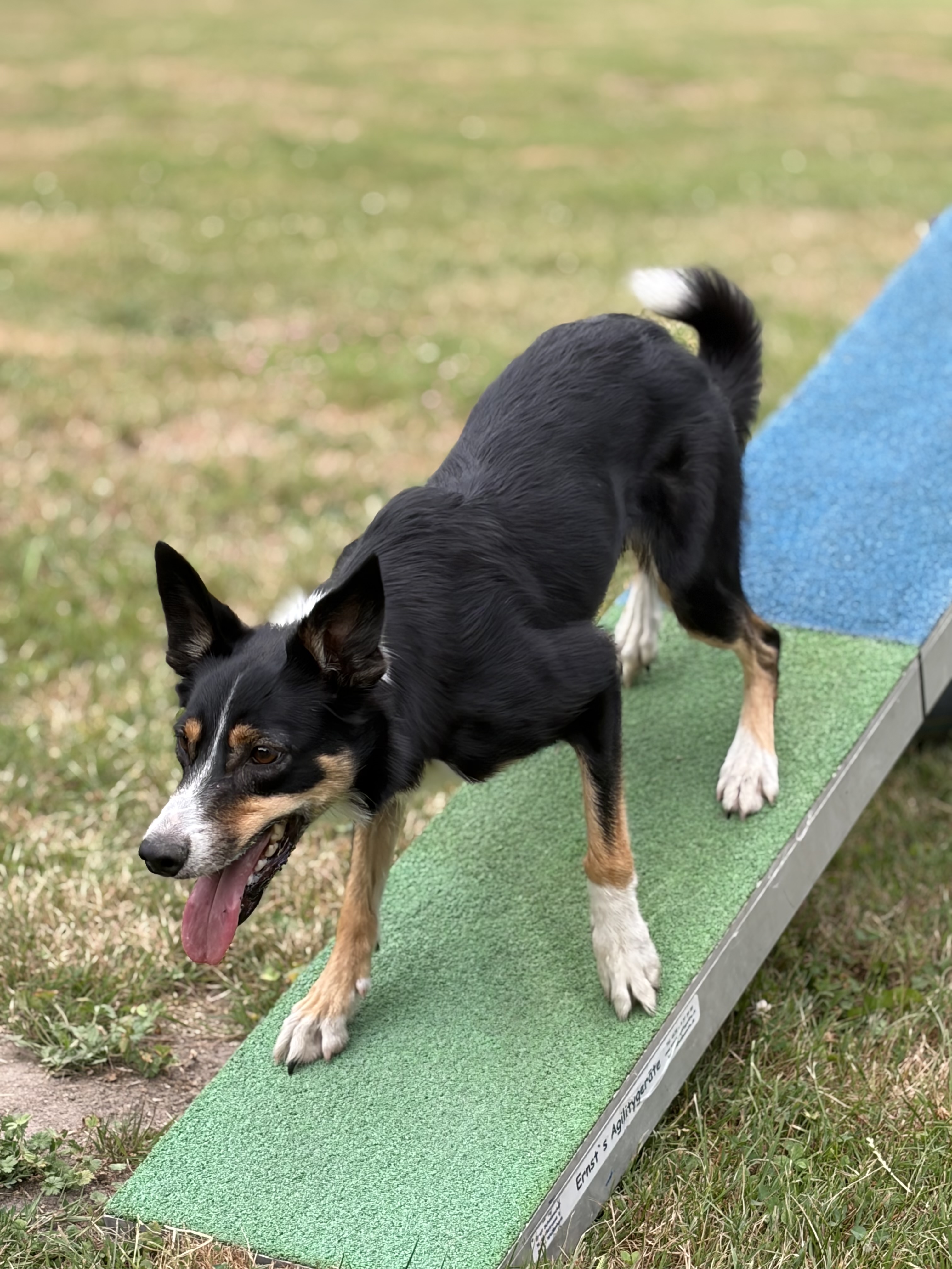 Agility