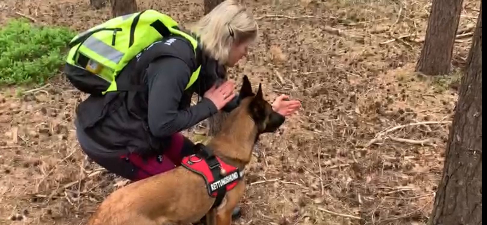 Rettungshundeteam im Wald