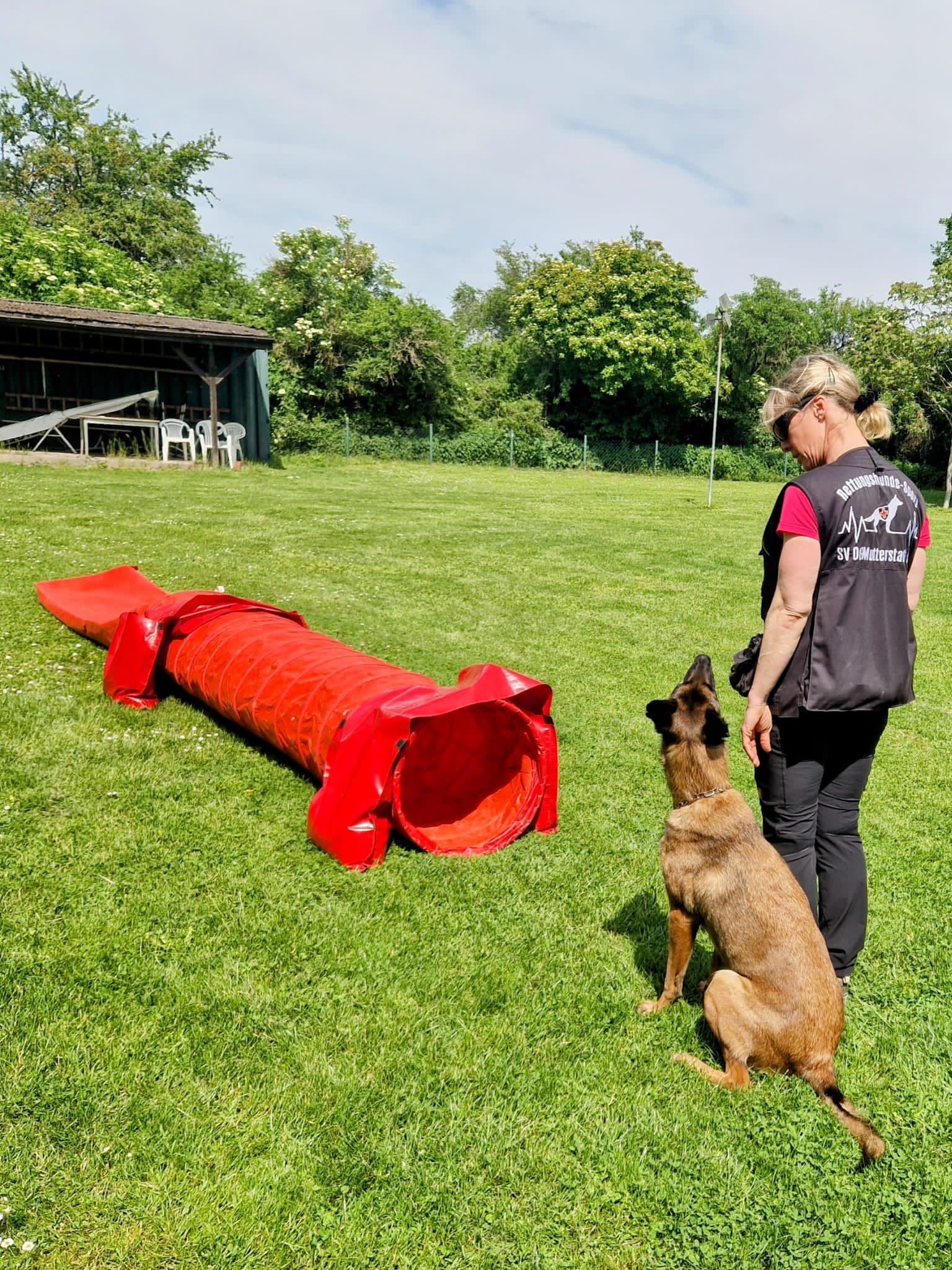 Hundeführerin schickt ihren Malinois in den Tunnel