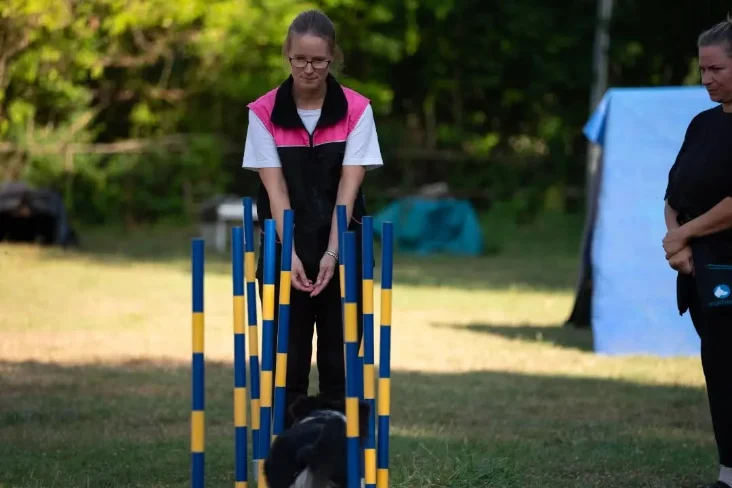 Agility-Foto
